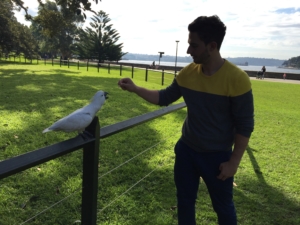 Botanic Gardens Sydney