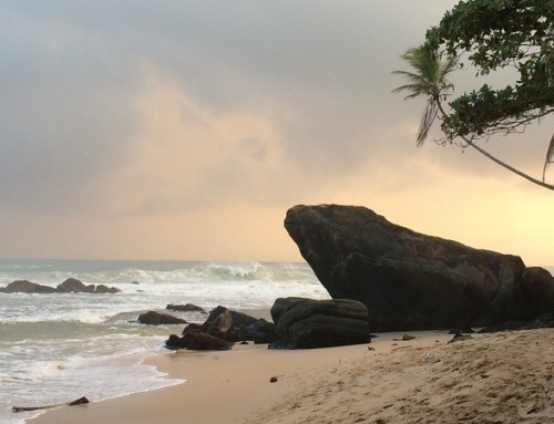 Sri Lanka – Berg, Strand & Dschungel