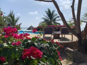 Villa de Coco Sansibar