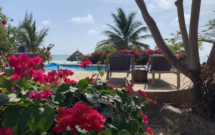 Villa de Coco Sansibar