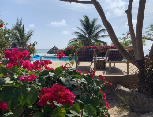 Die 3 besten Unterkünfte auf Sansibar