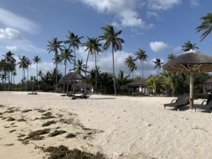 The Residence Sansibar