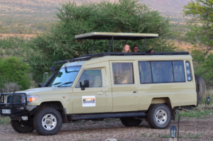 Safari Auto Serengeti