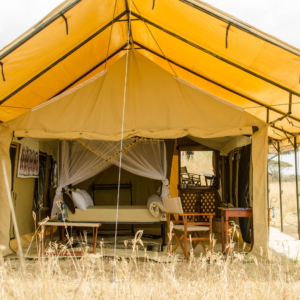 luxurycamp serengeti