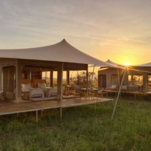 serengeti-bushtops-camp