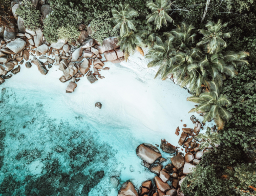 Auf Praslin bei der Coco de Mer