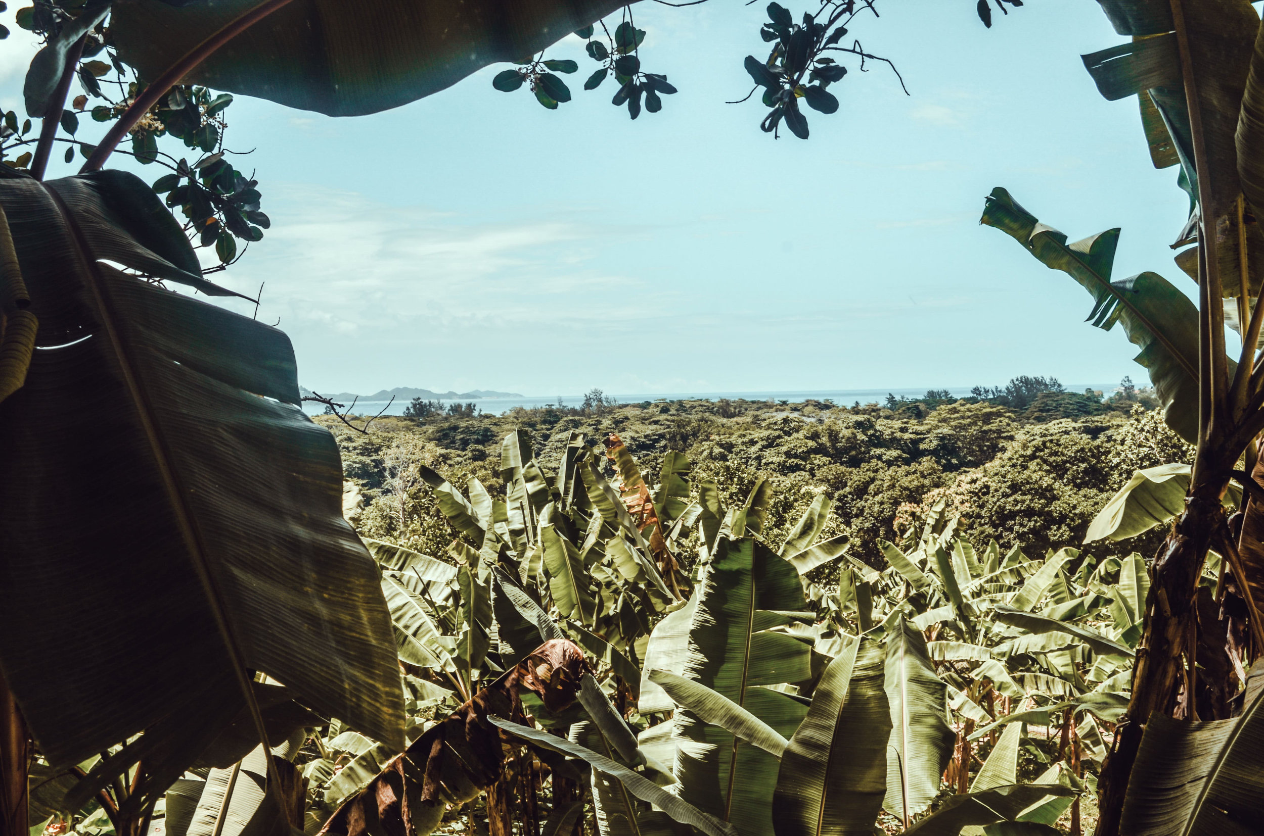 LaDigue Adventure Tour im Süden der Insel Seychellen